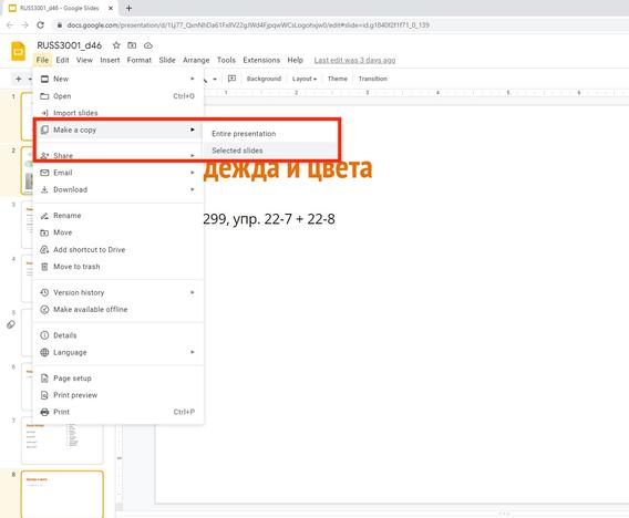 A red box outlines draws attention to the "Make a Copy" then "Selected Slides" under the "File" tab in Google Slides.
